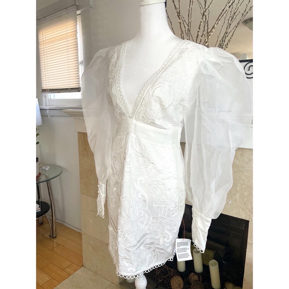 ASOS EDITION embroidered organza mini dress